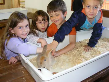Some children playing with a bunny rabbit