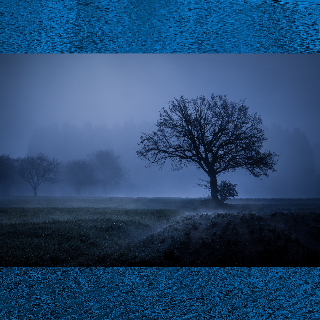 Misty field at twilight with silhouetted trees in blue tones.