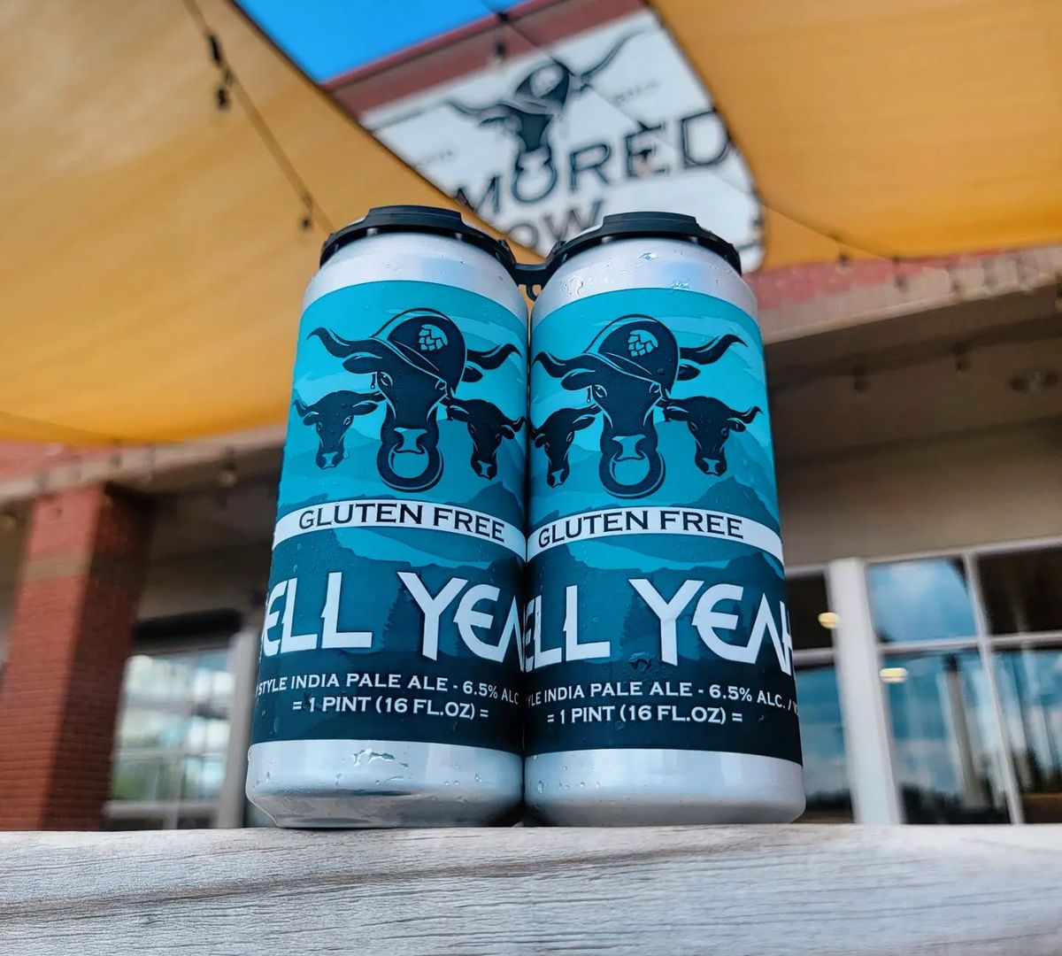 Two Armored Cow Hell Yeah gluten-free IPA cans outside the brewery.