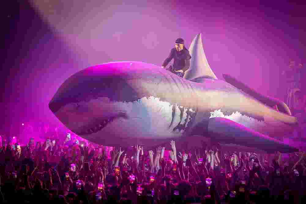 Karpe fyller Spektrum x 10