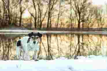 Illustrasjonsbilder vinter