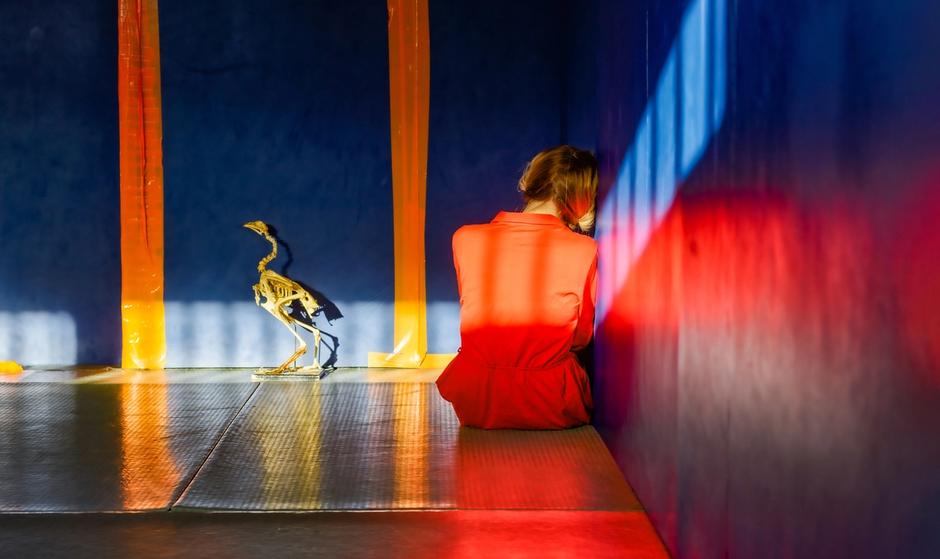 Hvordan bli en bedre bildebruker – del 1, bildepsykologi