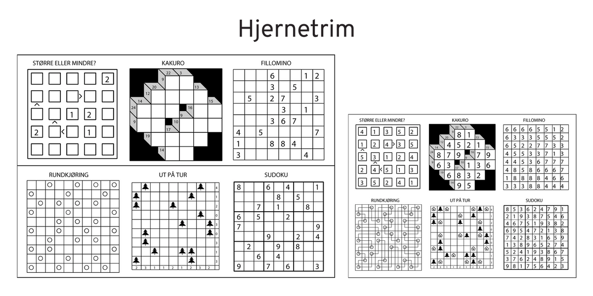 Hjernetrim