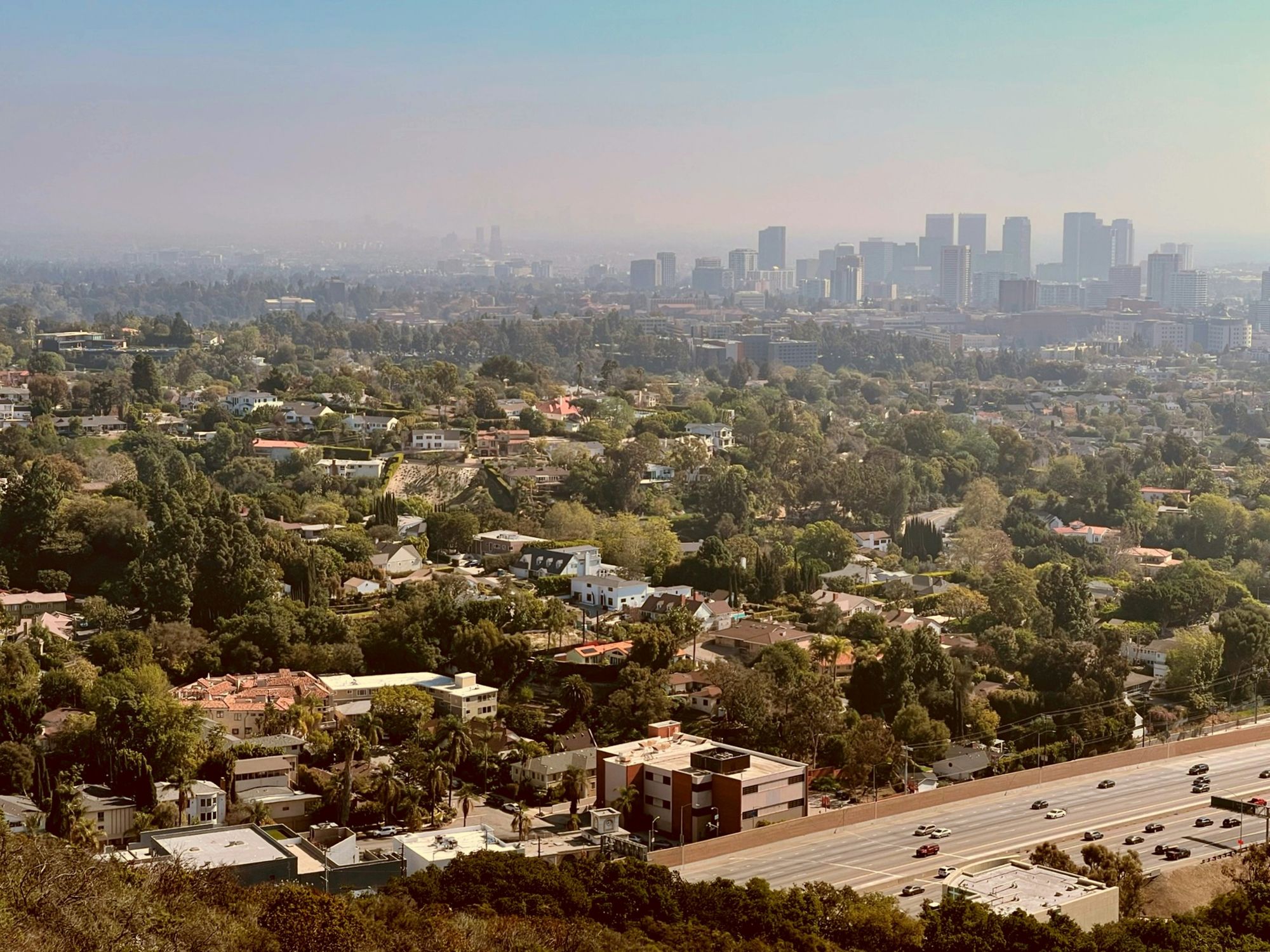 Hillside view over leafy Westside LA neighborhoods toward Century City and a freeway