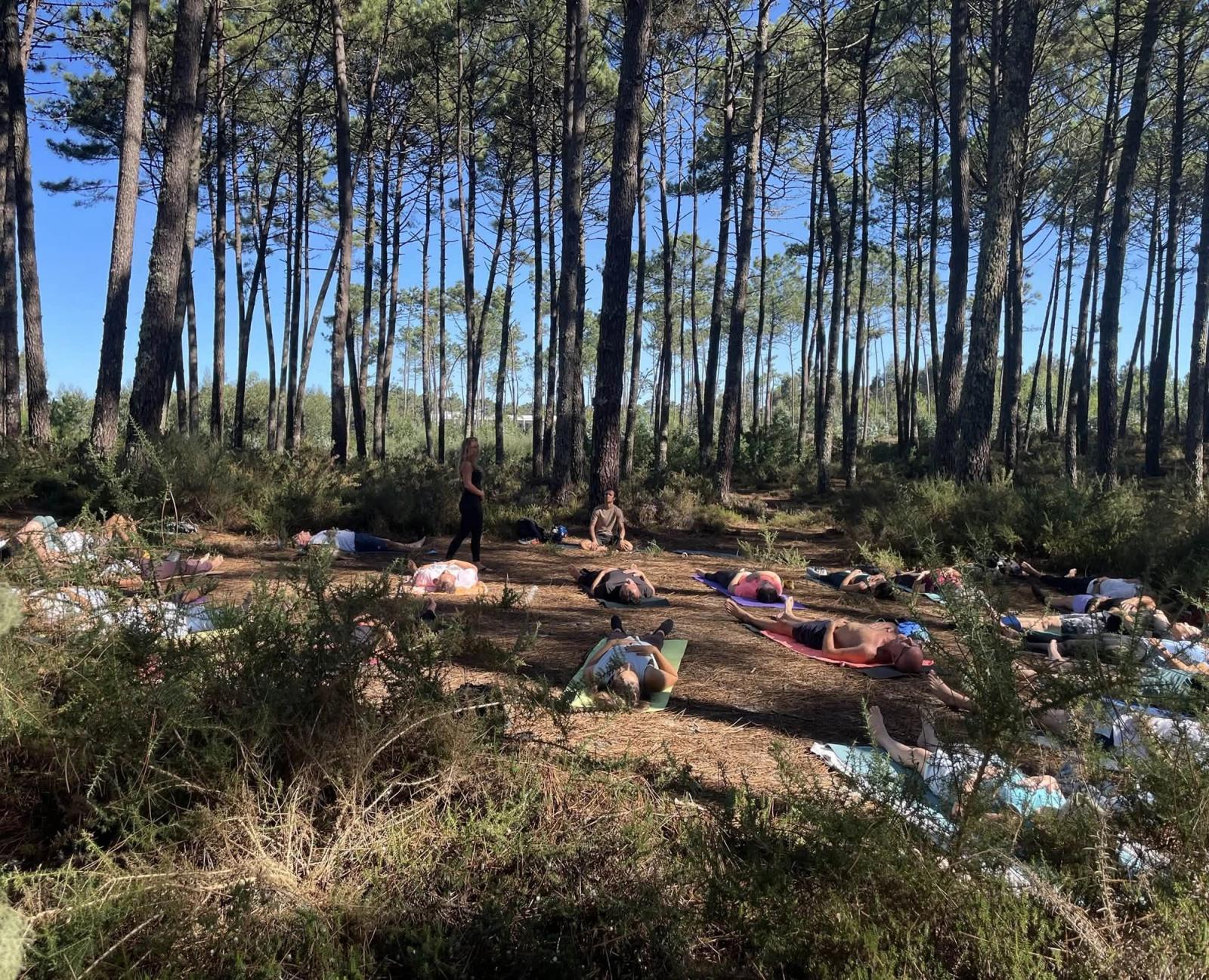 Yoga no Pinhal