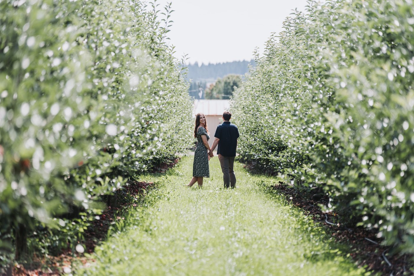 Proposal at Mt View Orchards — frame 6