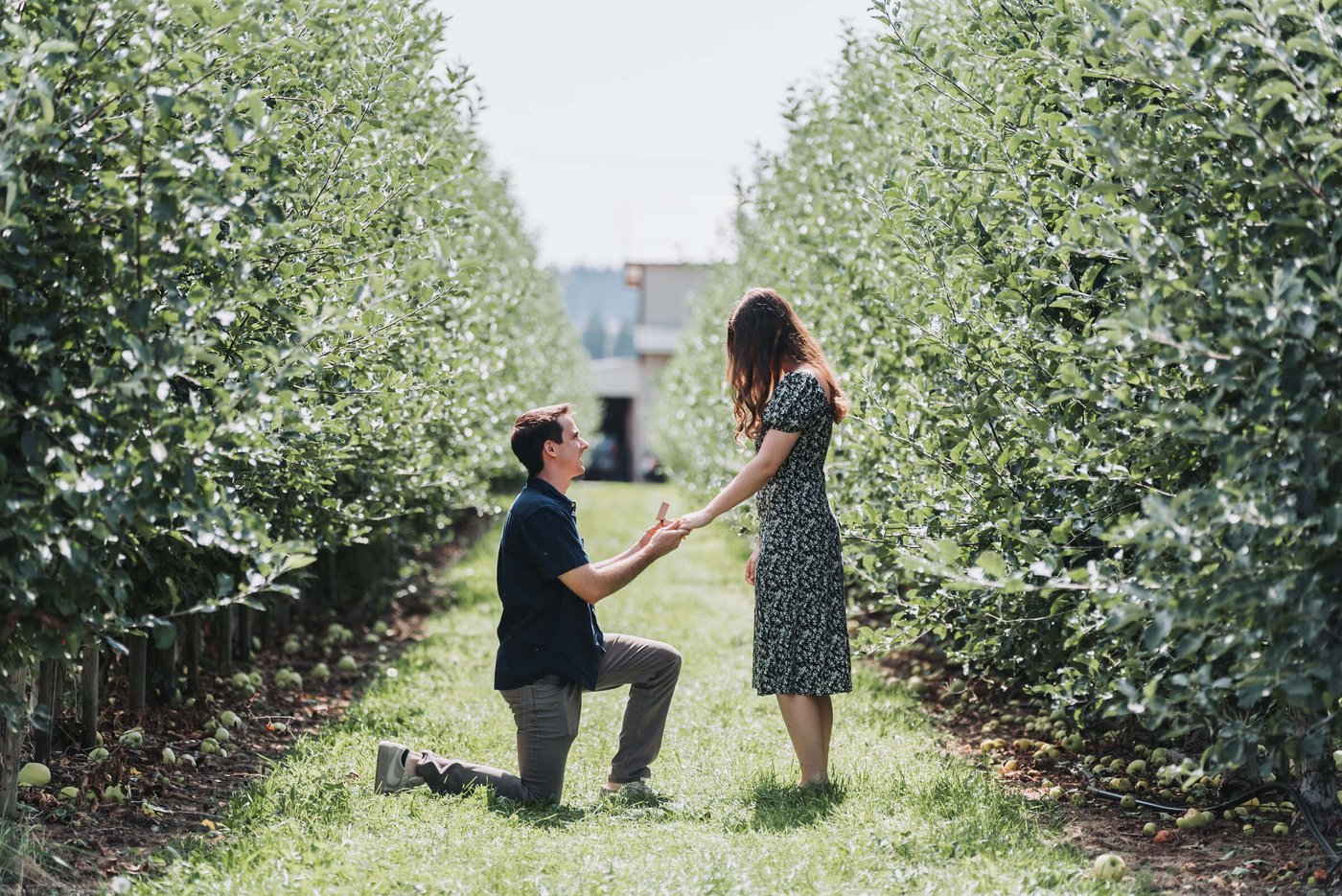 Proposal at Mt View Orchards — frame 1