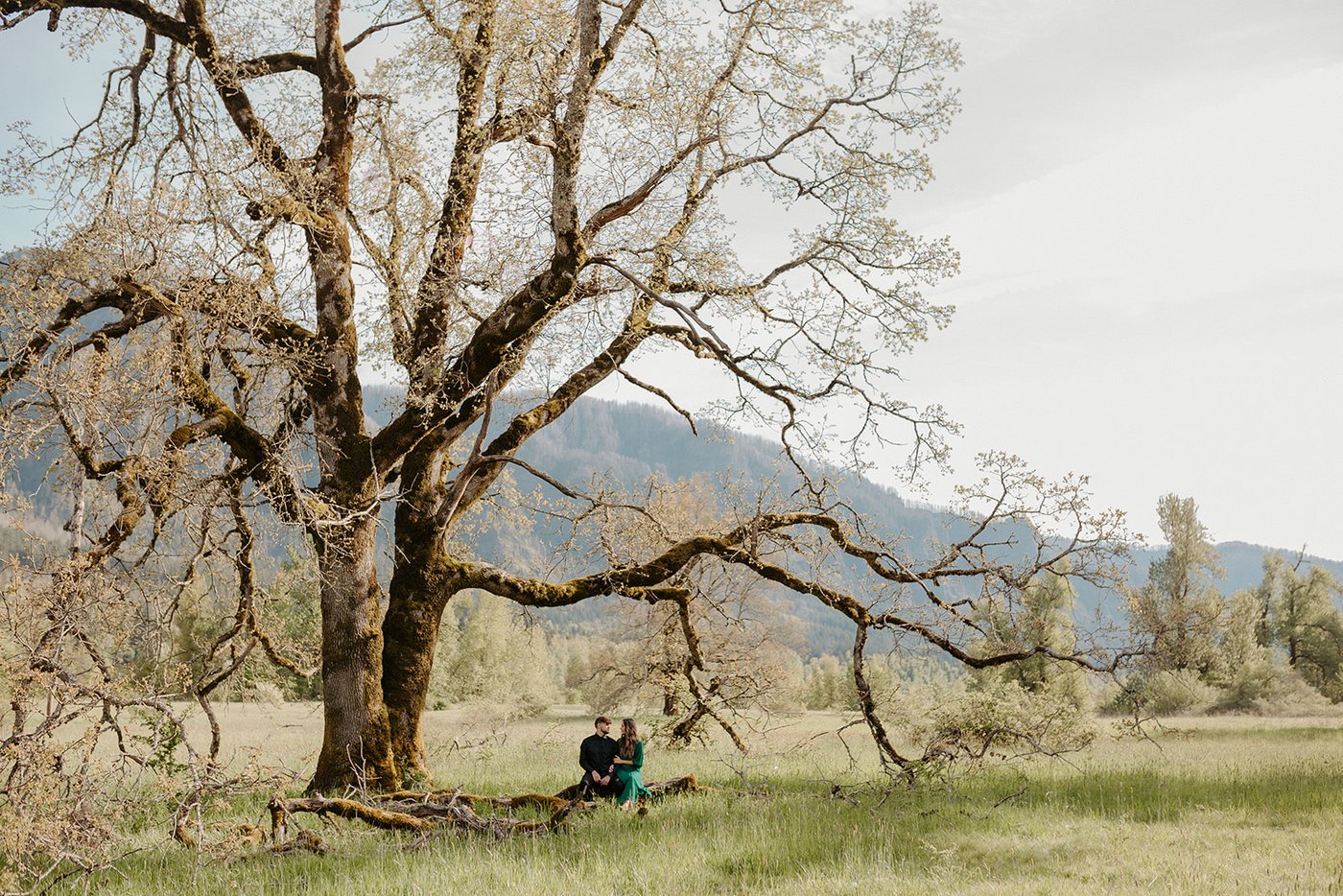 Olga & Mike, Cape Horn — frame 12