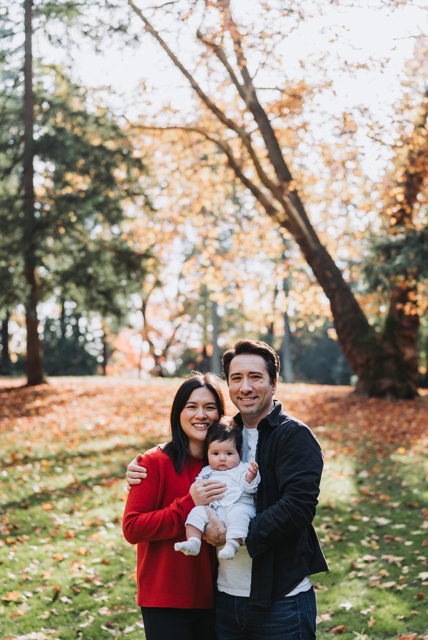 Colors of Fall — frame 5