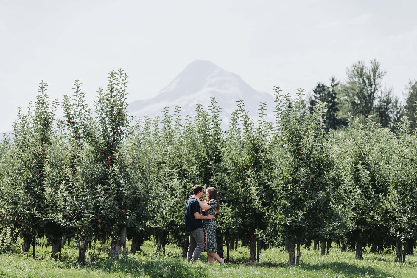 Proposal at Mt View Orchards — frame 4