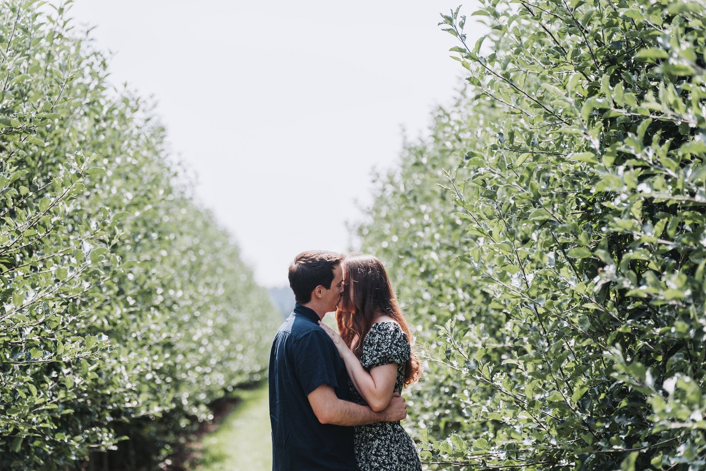 Proposal at Mt View Orchards — frame 3