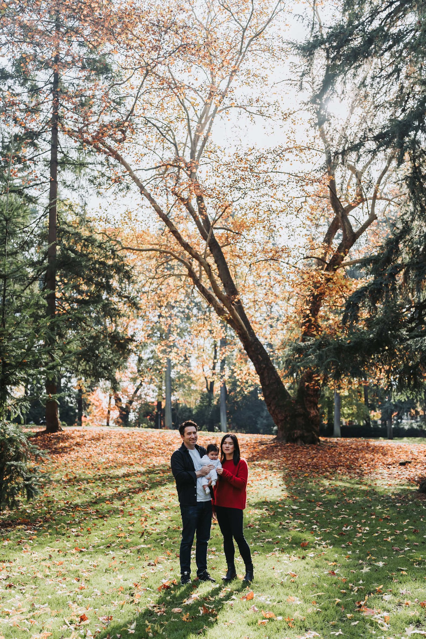 Colors of Fall — frame 4