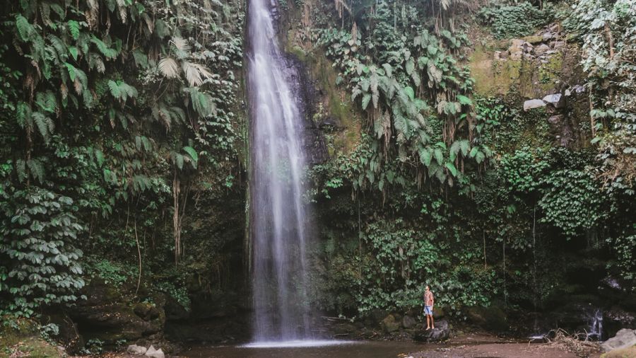 JUNGLE TREKKING AND WATERFALLS TRIP