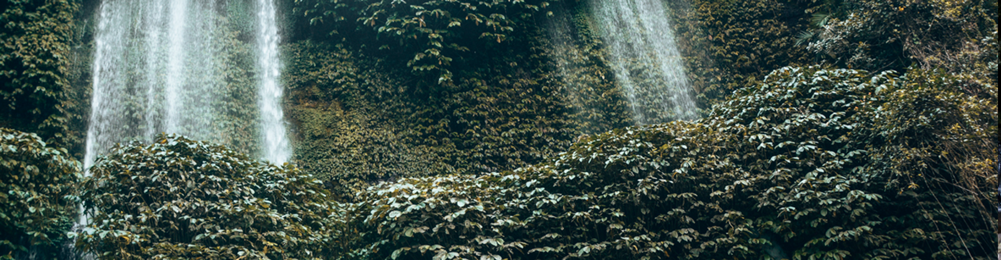 JUNGLE TREKKING AND WATERFALLS TRIP