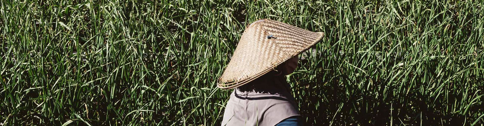 LOMBOK CULTURE