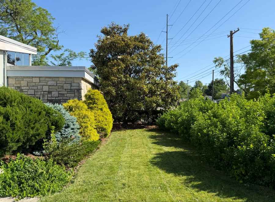 Landscaped grounds along the building., commercial photography for Landscaped grounds along the building.