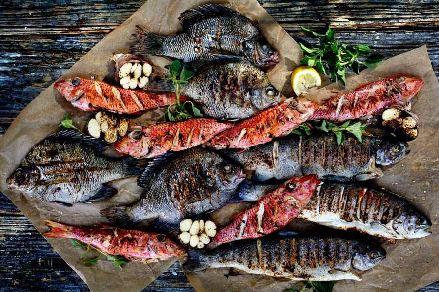 12 Fish Pile 036, commercial photography