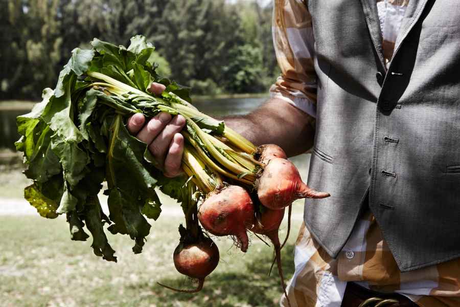 beets 026, commercial photography
