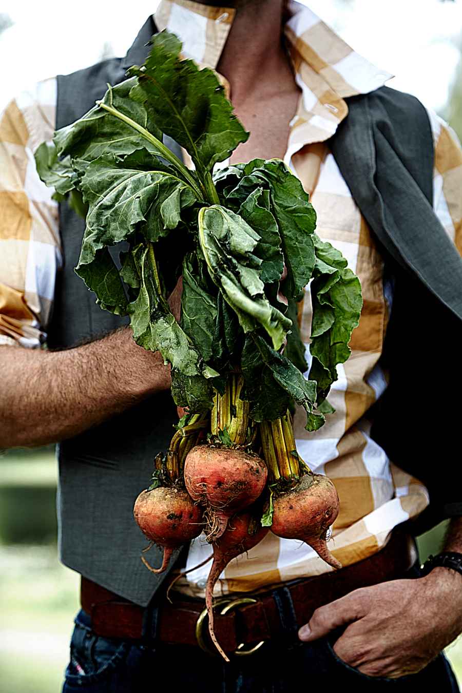 13 beets 092, commercial photography