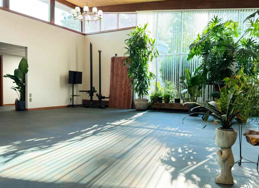 Open floor, daylight and plants., commercial photography for Open floor, daylight and plants.