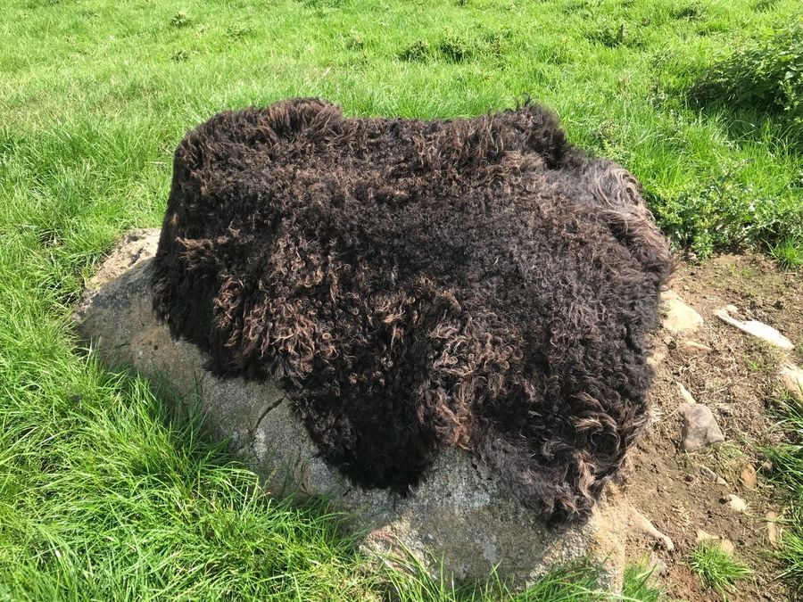 Crowkeld Rugs back in stock in our Etsy Shop - all sales go towards the up keep costs of the flock 