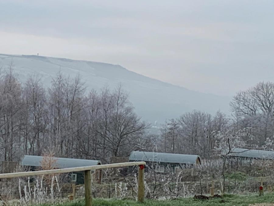 10% Cabin Booking Discount Code - 'Elf the Sheep'