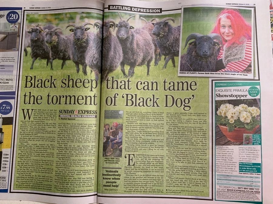 The Crowkeld Flock in the Sunday Express