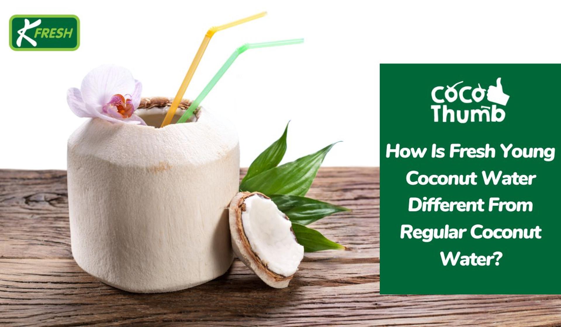 Fresh Young Coconut Water: A Natural Electrolyte Boost for Fitness Enthusiasts