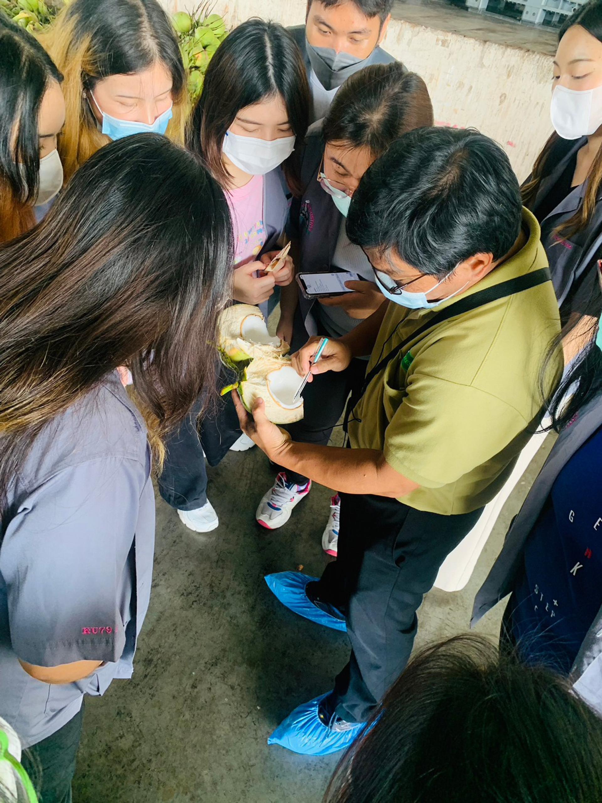 Students learn about coconut water production.