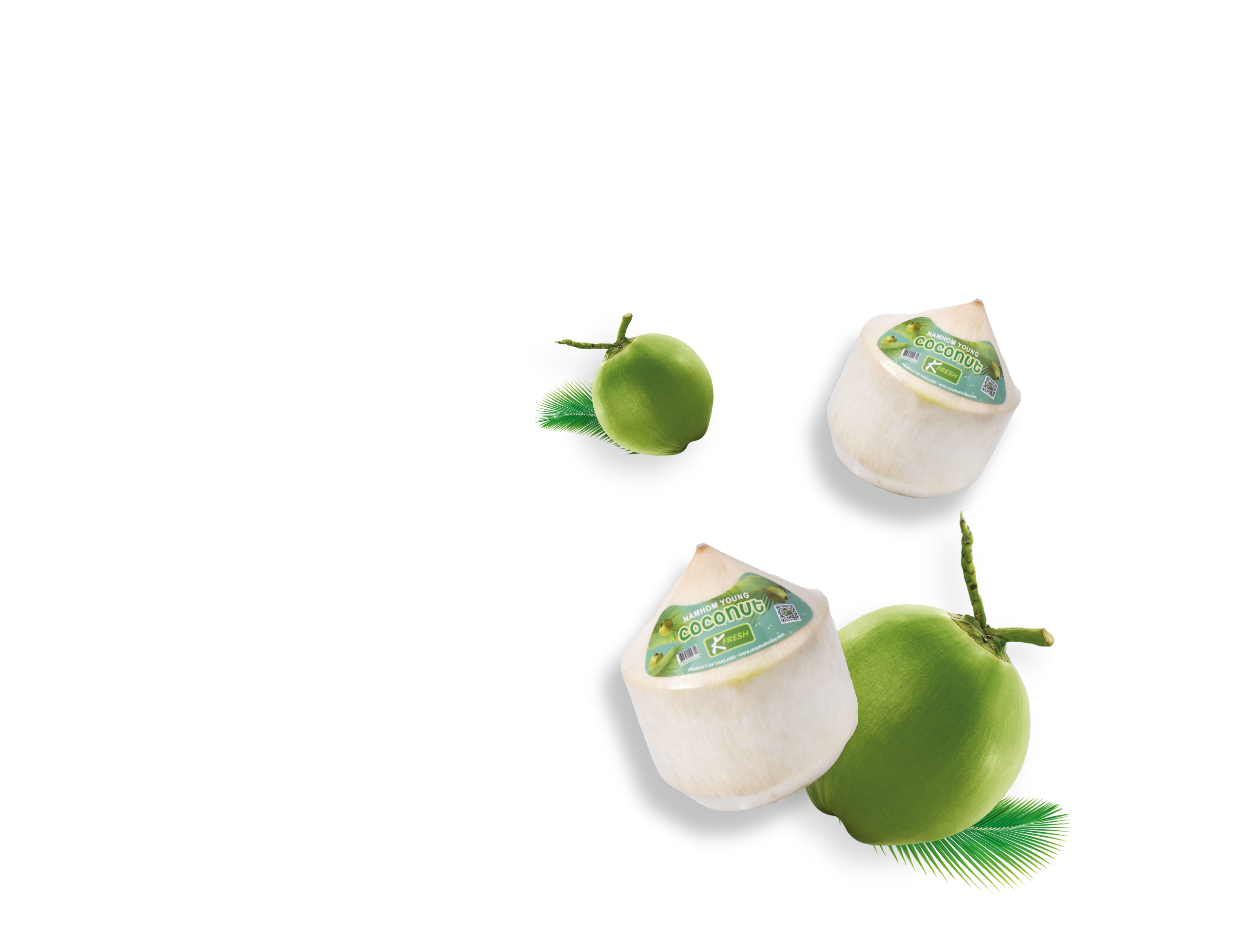 K Fresh Young Nam Hom coconuts, green or white