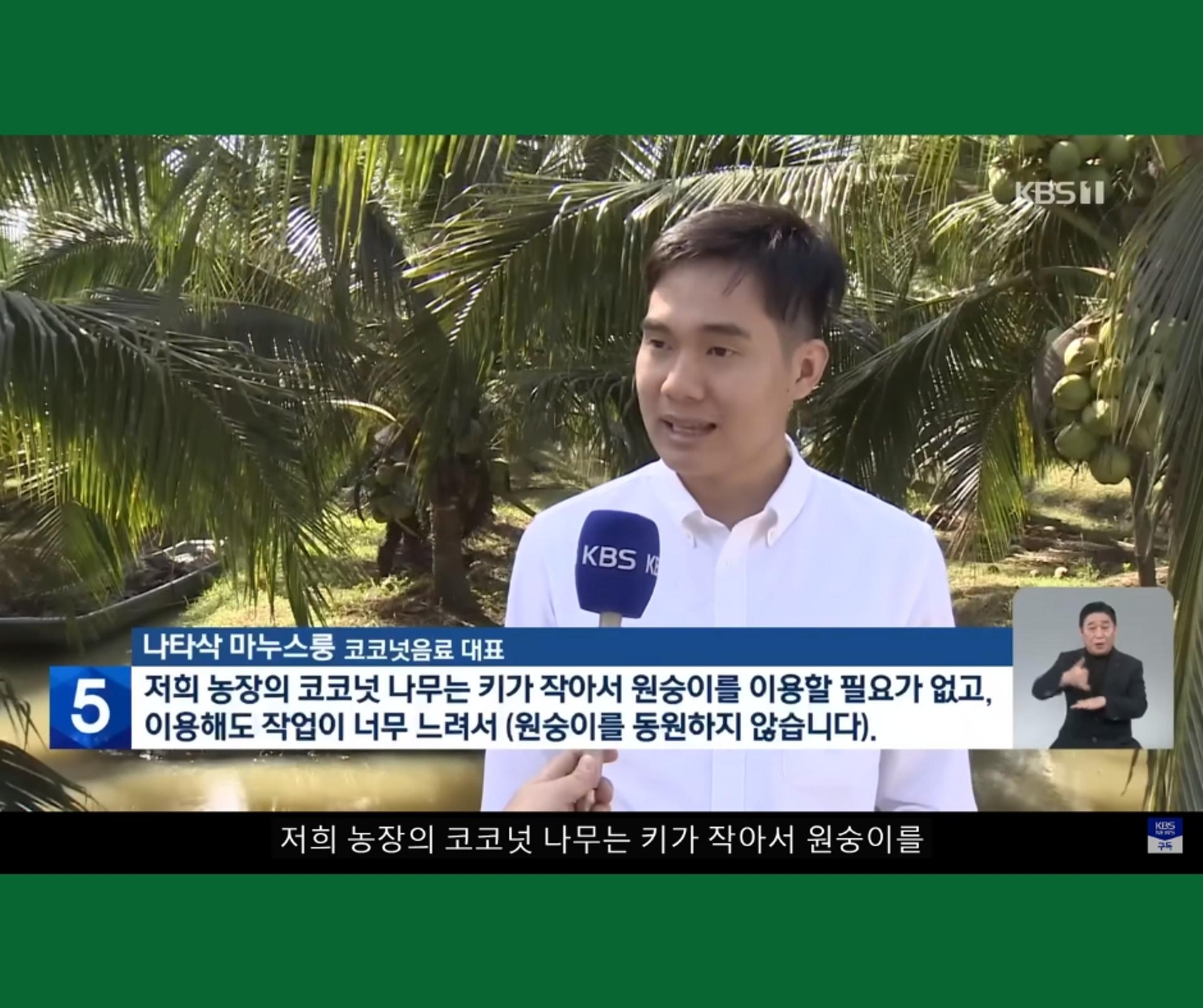 KBS News – Monkey Free
