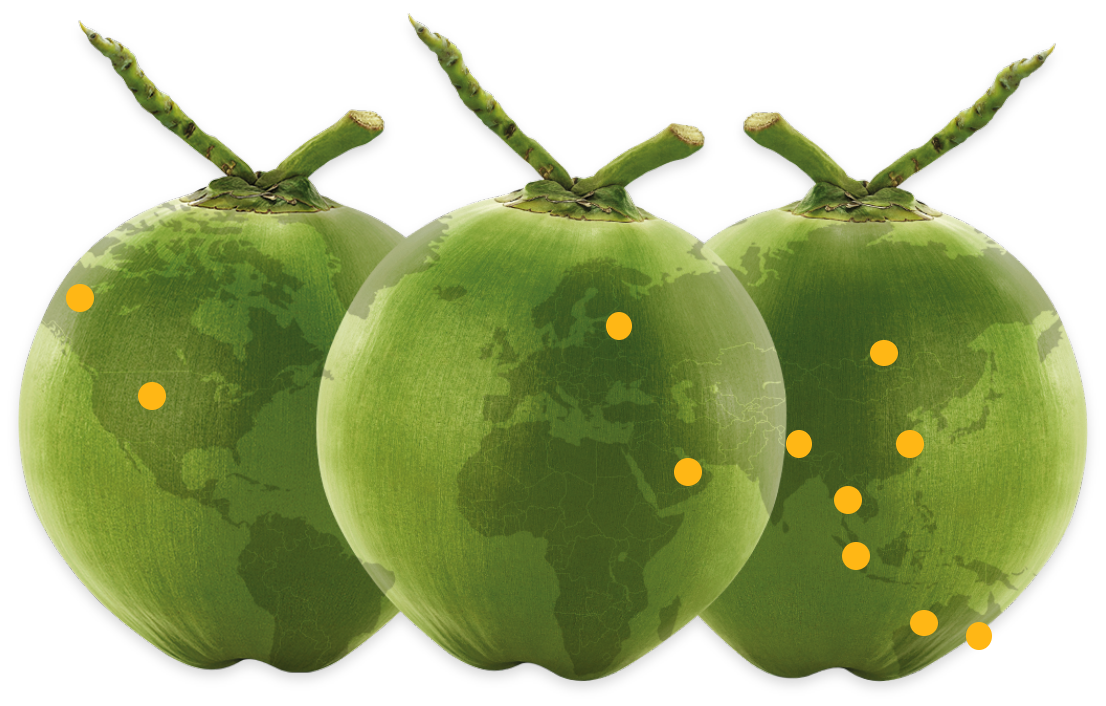 KFresh aromatic nam hom young coconut export around the world