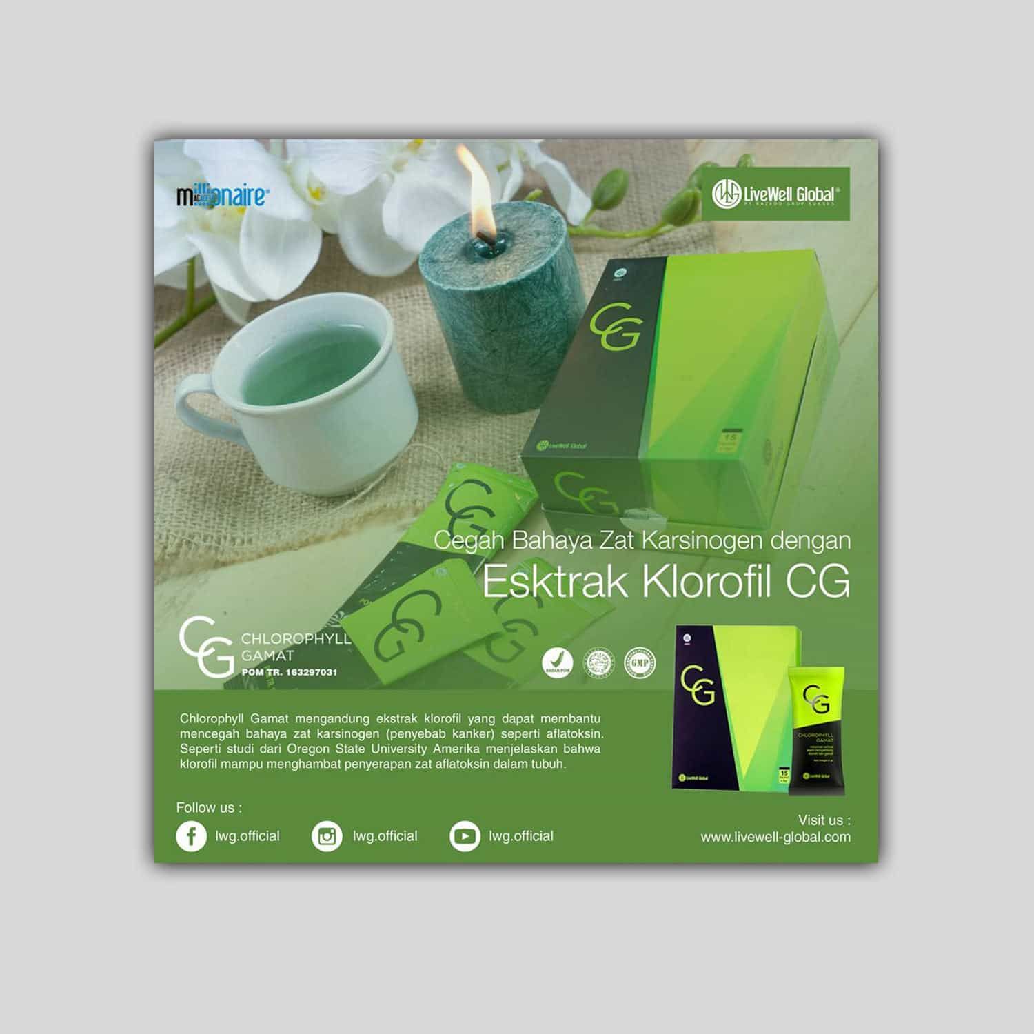 Razedo Group Sukses 15