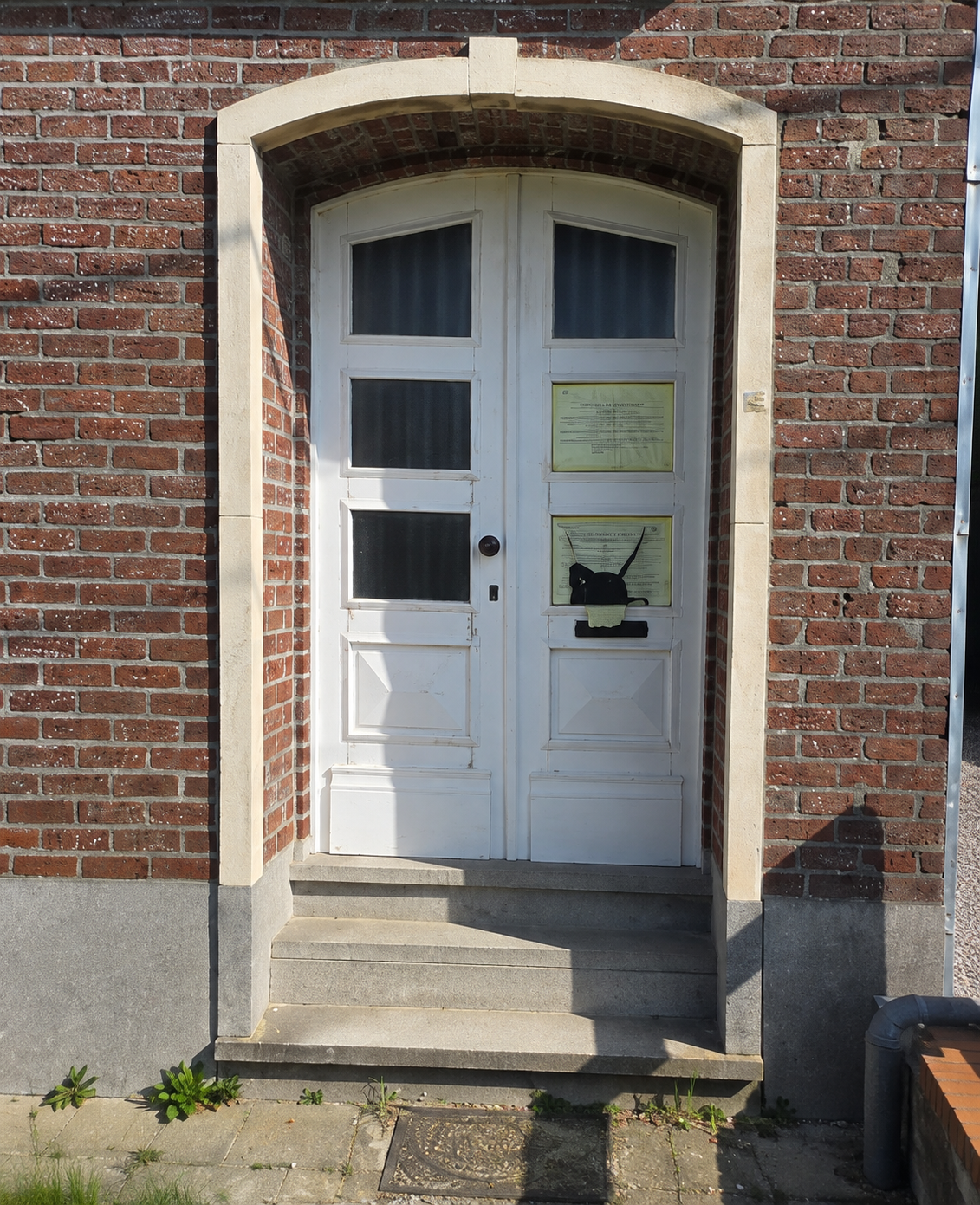 Voordeur/zijlicht - Before