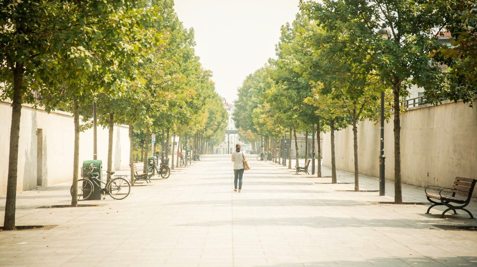 Un lungo viale alberato che si allontana, con una persona che cammina in lontananza.