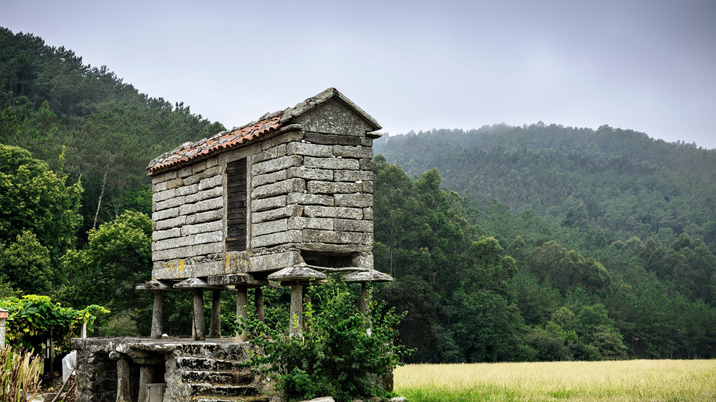 O rural que segue vivo