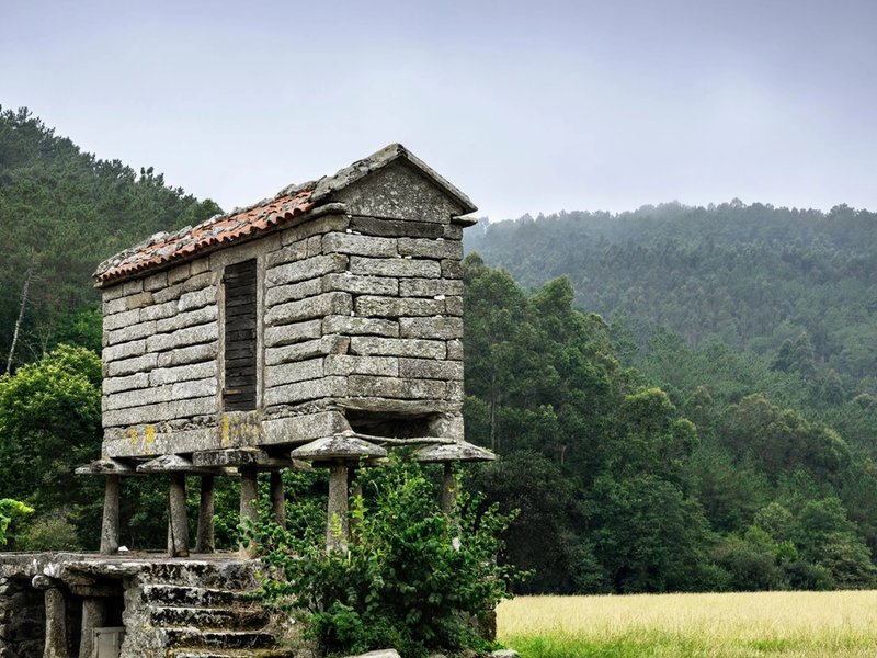 O rural que segue vivo