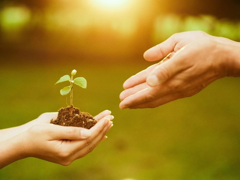 Unha reflexión acerca da sustentabilidade