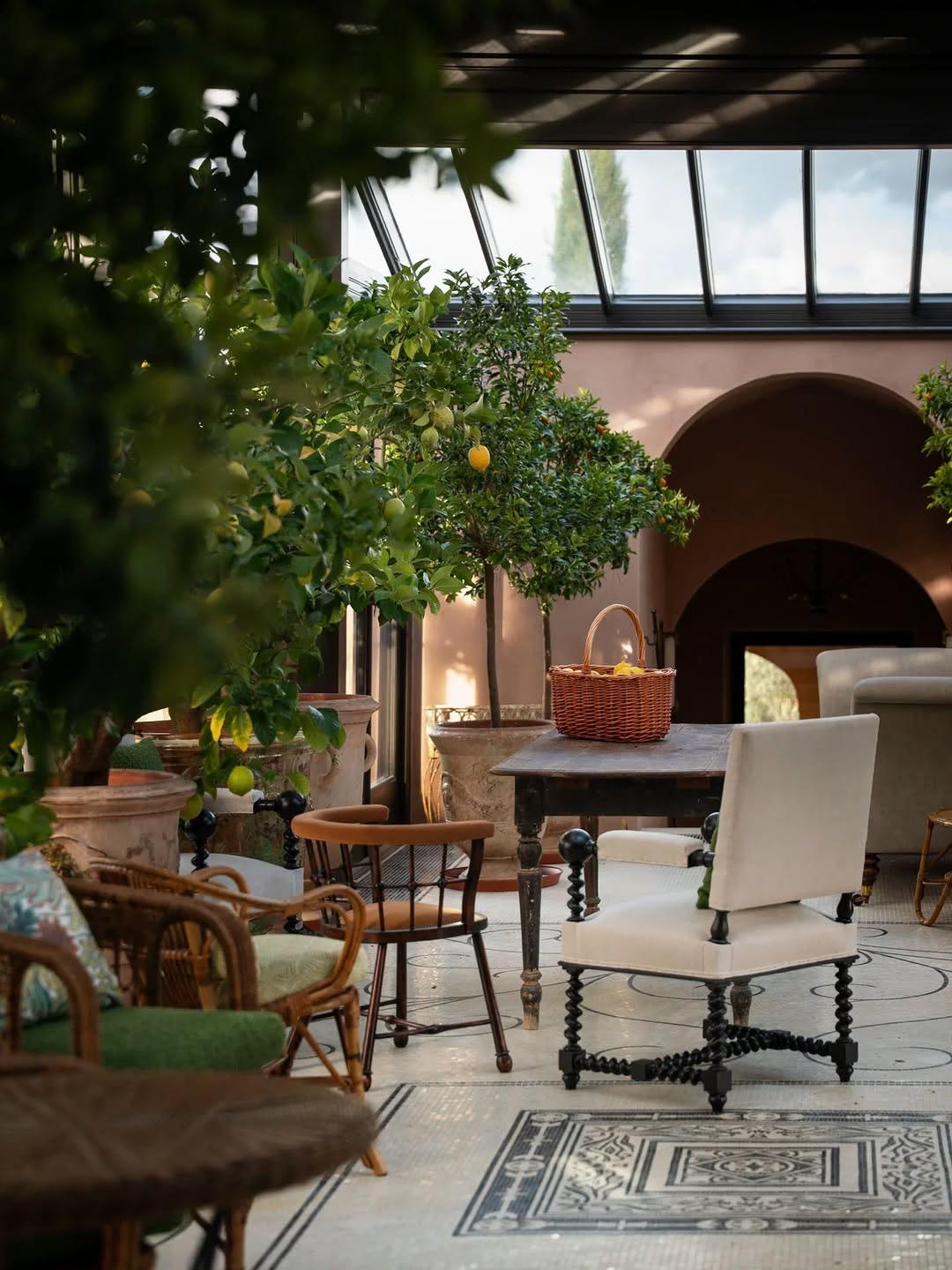 A glass conservatory sitting area with wicker chairs beside a lemon tree and terracotta tile floors