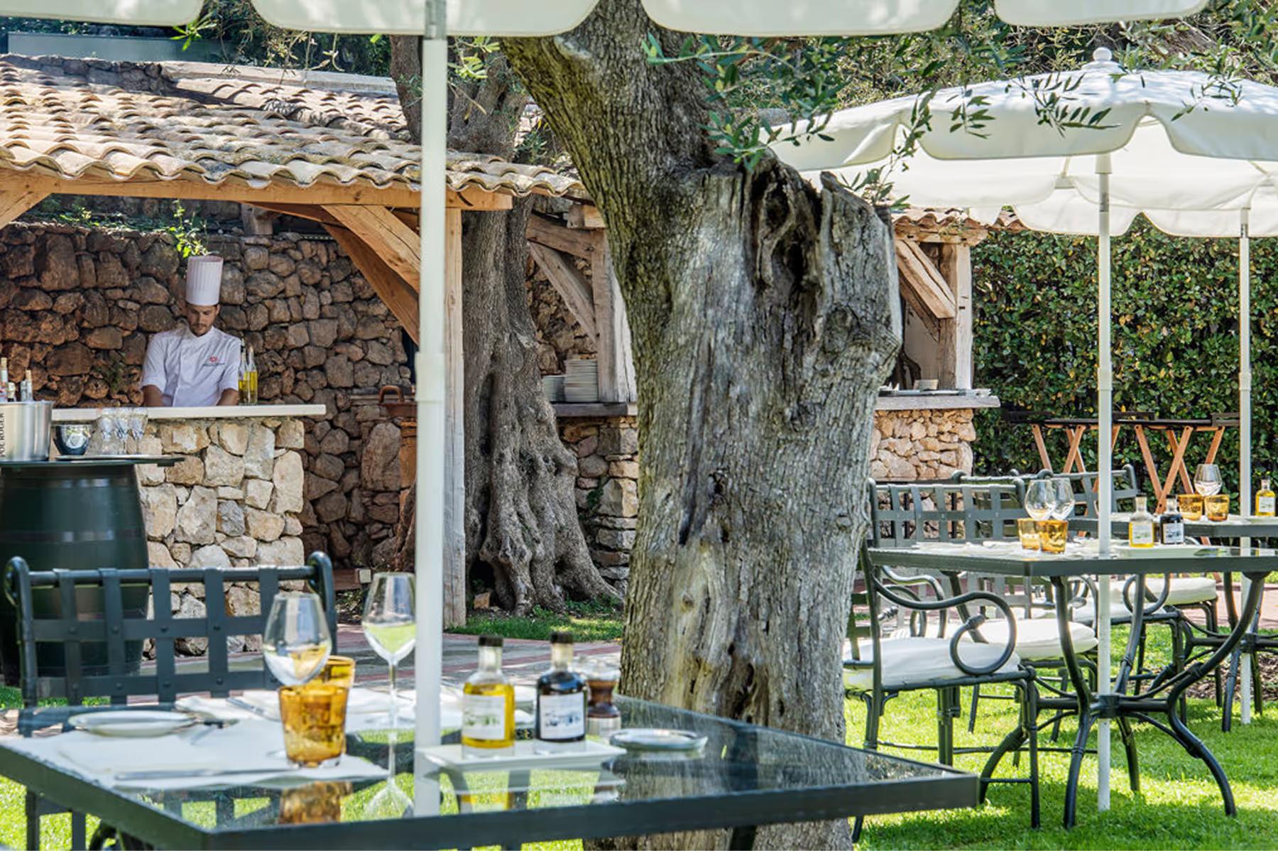 Château Saint Martin & Spa: shaded outdoor dining beneath historic olive trees with white umbrellas