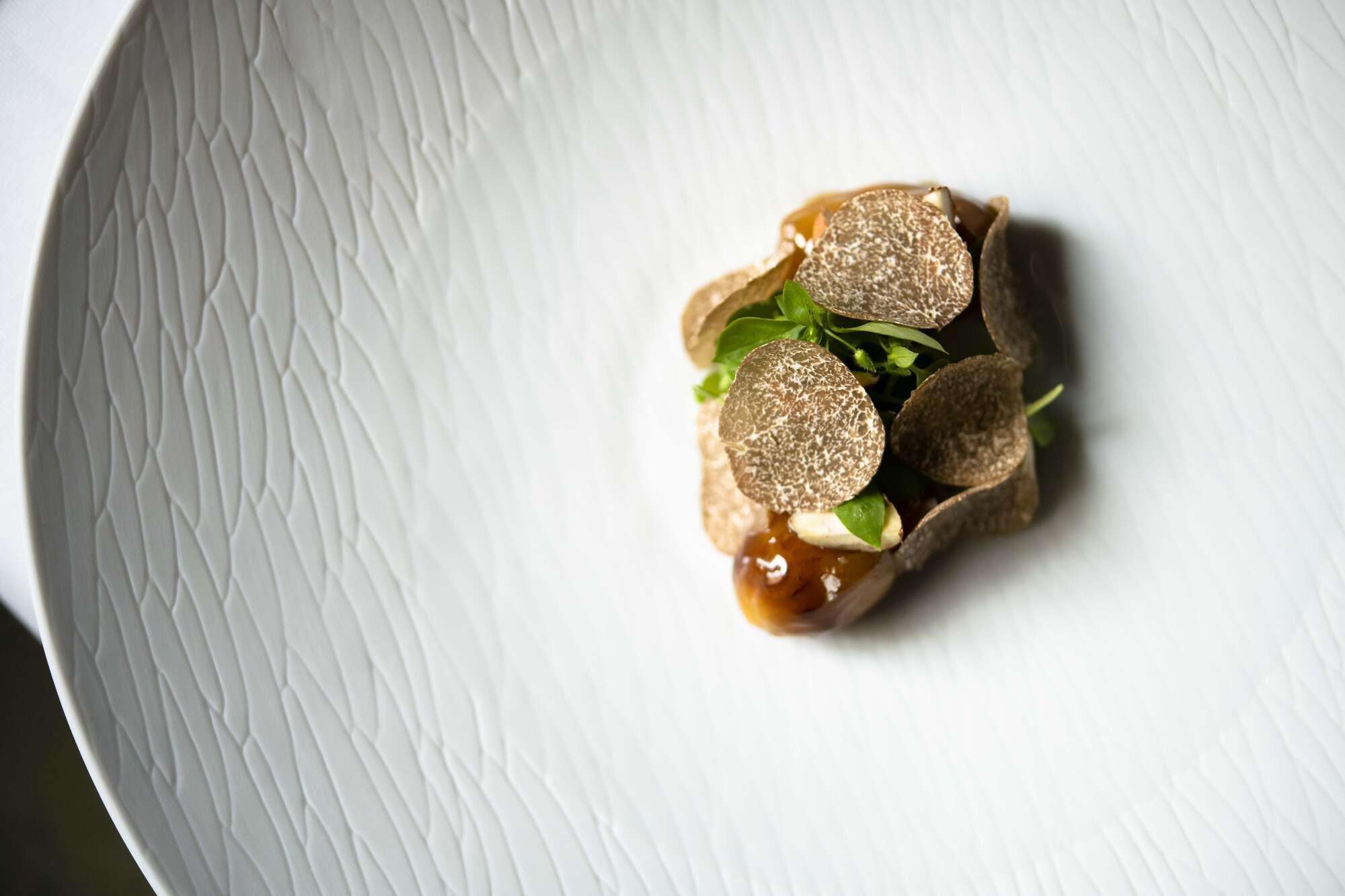 A plated dish with green garnish and sauce on white porcelain
