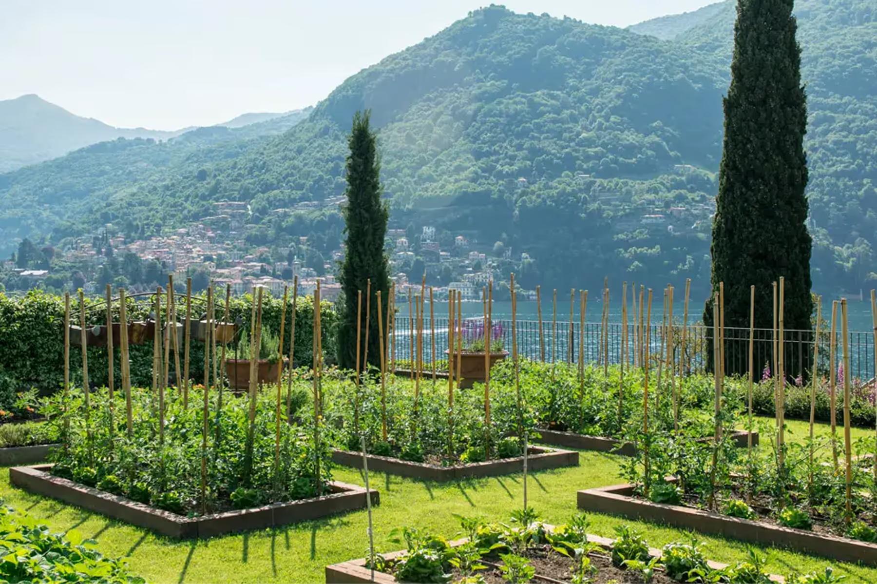 Passalacqua: vegetable gardens with tall cypress, wire structures, and lake view