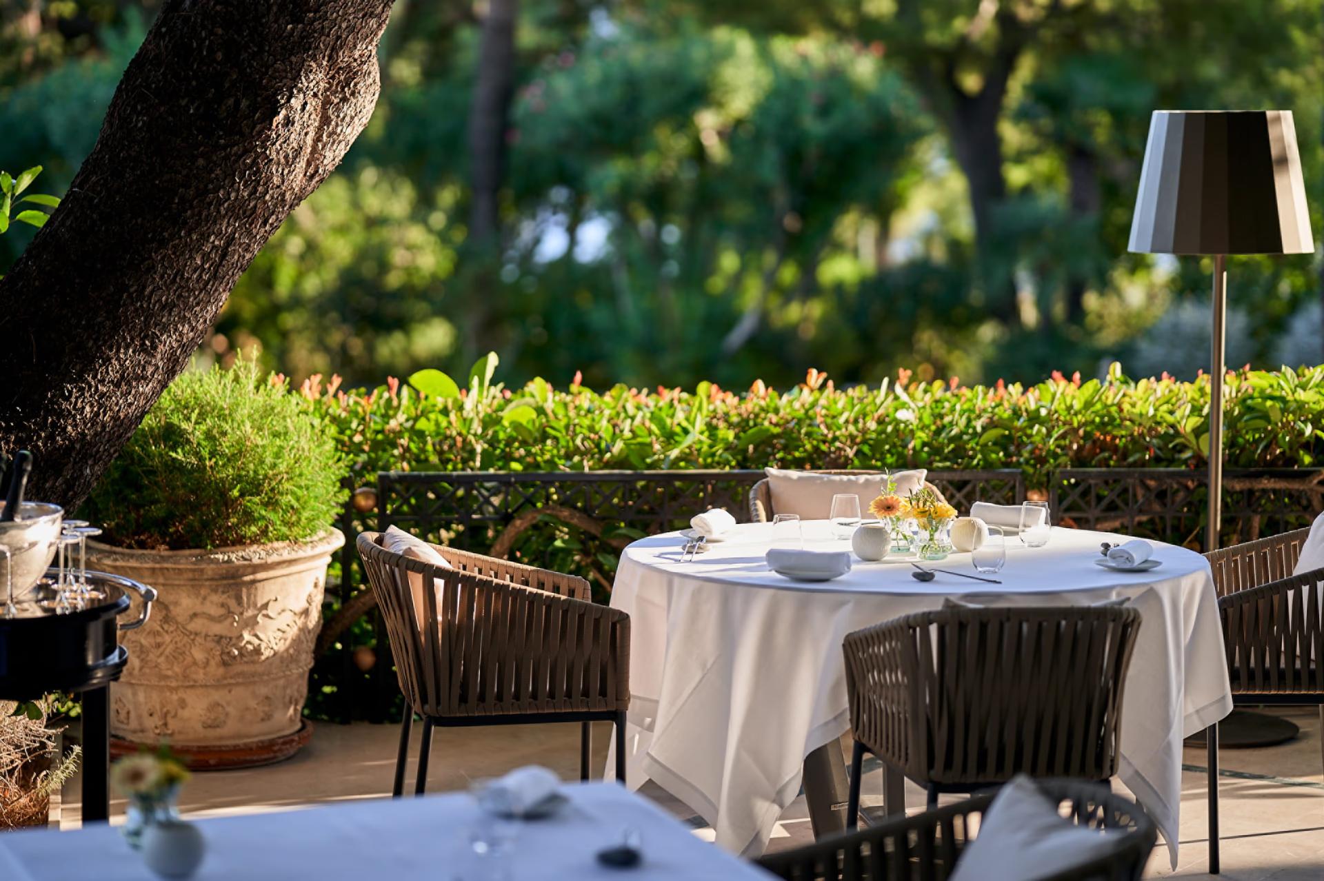 Intimate outdoor table beneath ancient oak trees in Mediterranean gardens
