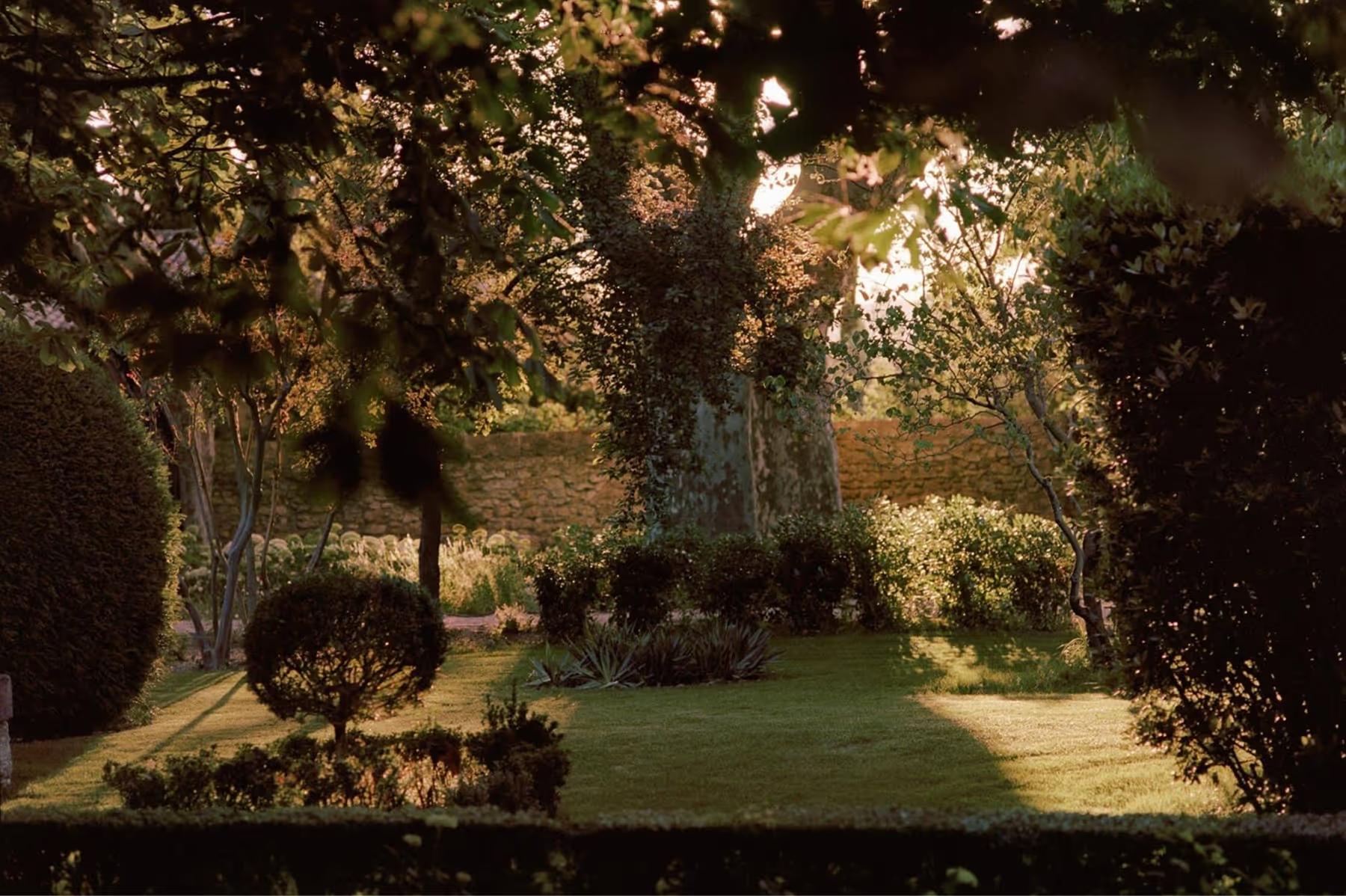 Le Mas de Chabran: tree-lined garden path with manicured lawn and topiary in dappled golden light