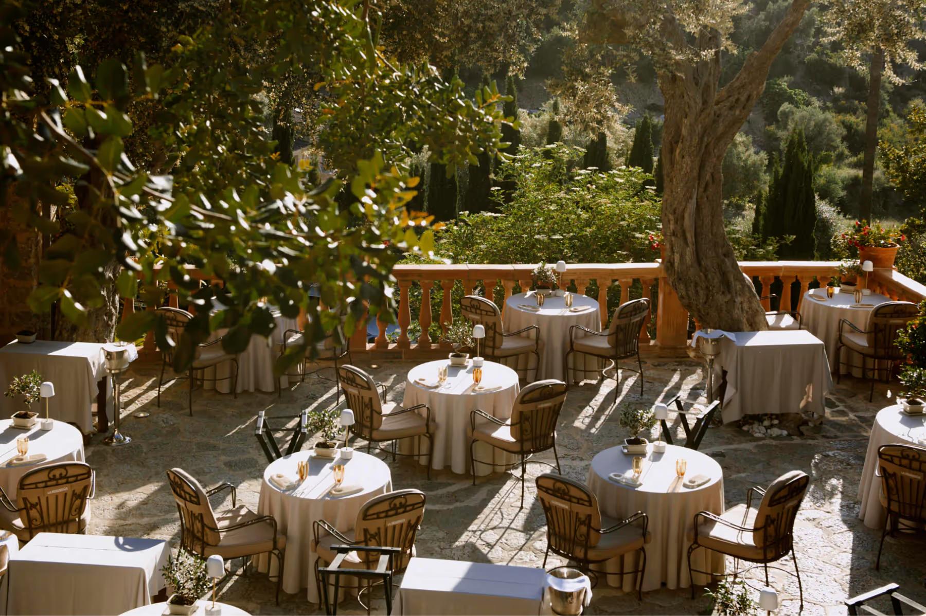 Shaded outdoor dining terrace with round tables, white linens, and tall trees overhead