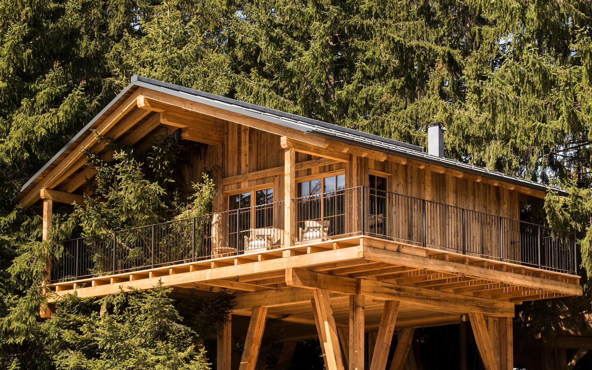 Treehouse with wooden railings elevated among dense forest
