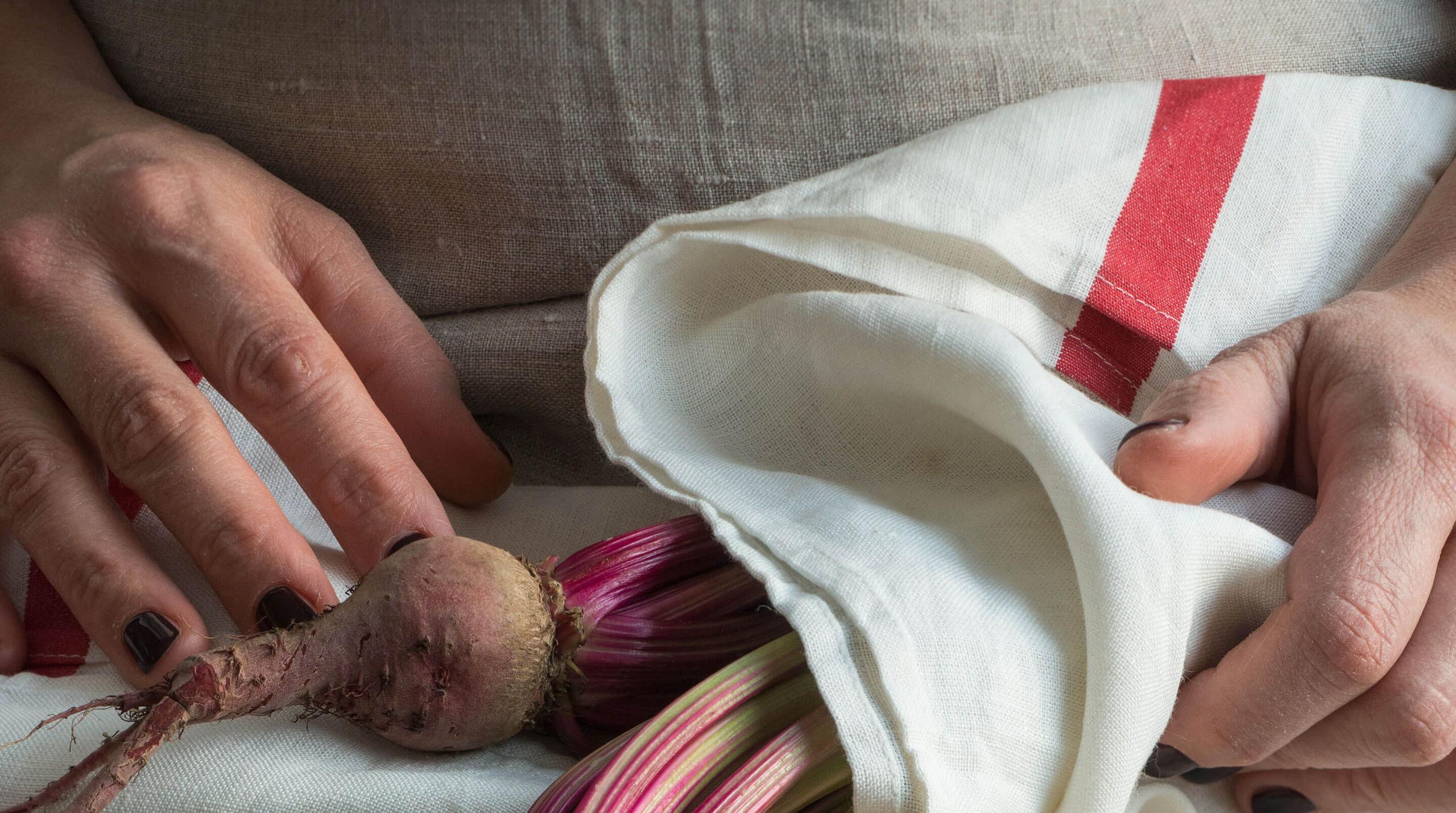 San Luis Retreat: close-up of hands holding a white ceramic dish with food