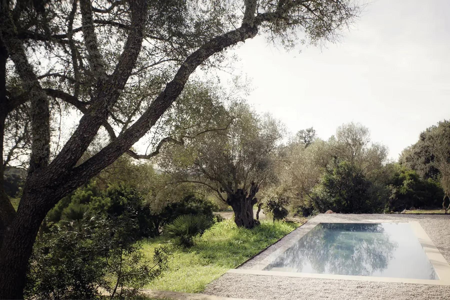 Es Racó d’Artà: linear saltwater pool edged in stone, reflecting ancient olive trees under clear Mallorcan sky