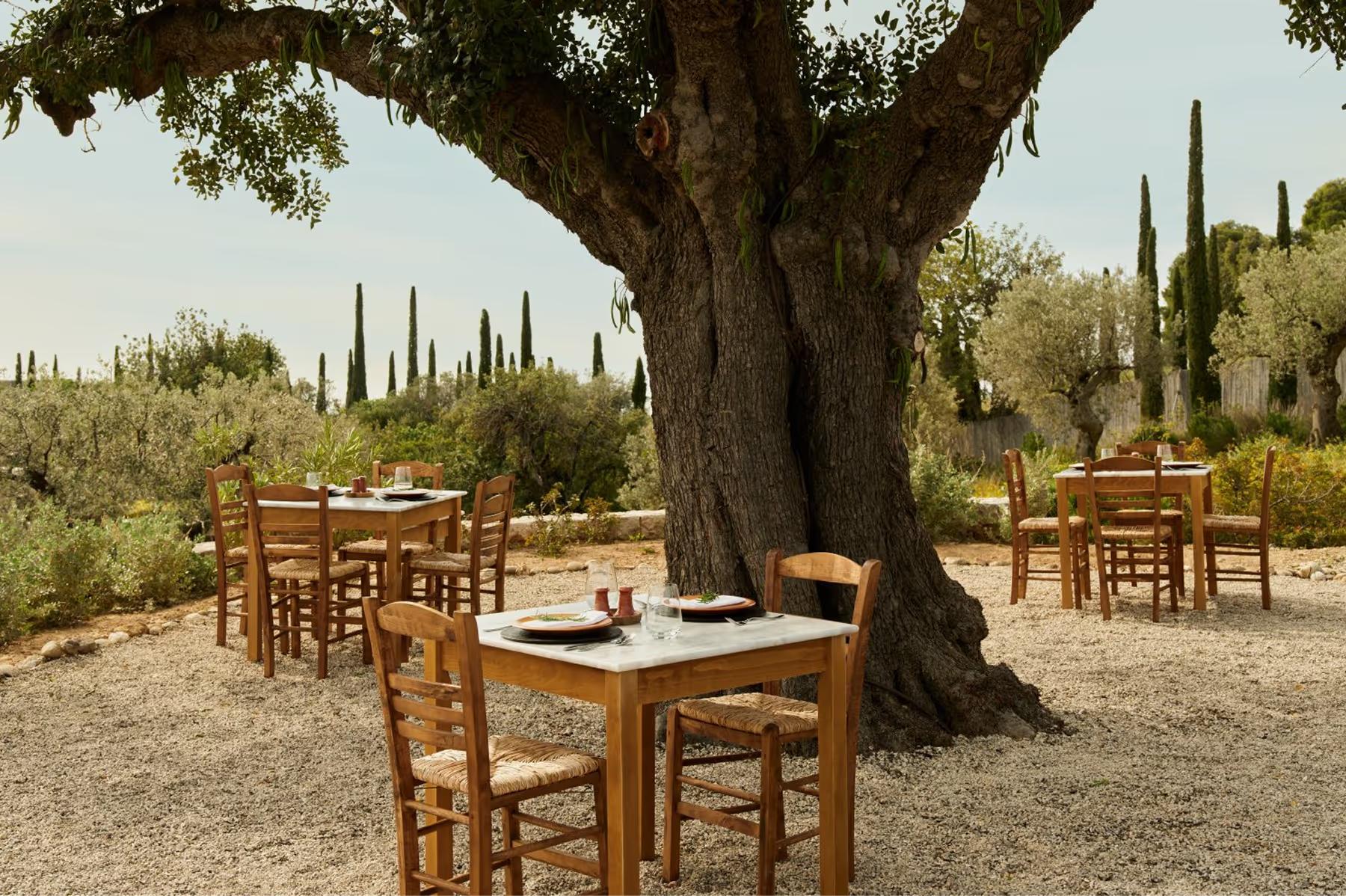 Amanzoe: outdoor dining table set under olive trees with Mediterranean views