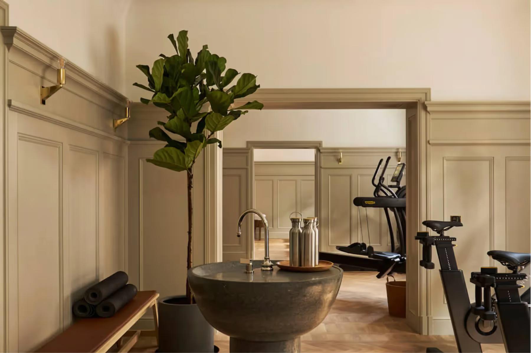 Ett Hem: a light entry with a large mirror, large plant in stone planter, and fitness equipment visible in background